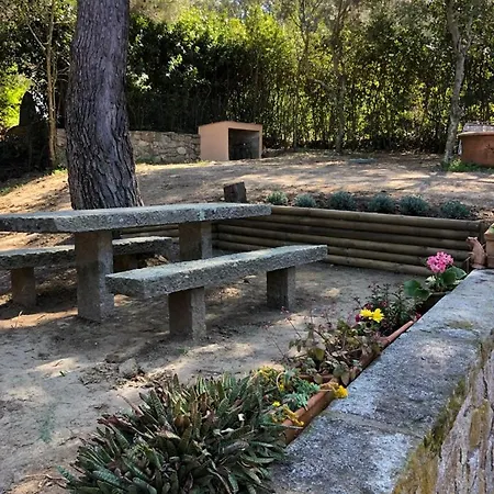 Residenza Le Sughere 別荘 プロッキオ